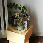 Le Stanze Di Amelie Nocleg ze śniadaniem Povegliano Veronese